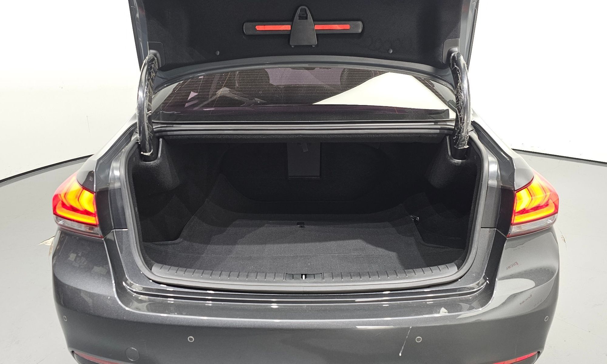 Image 19