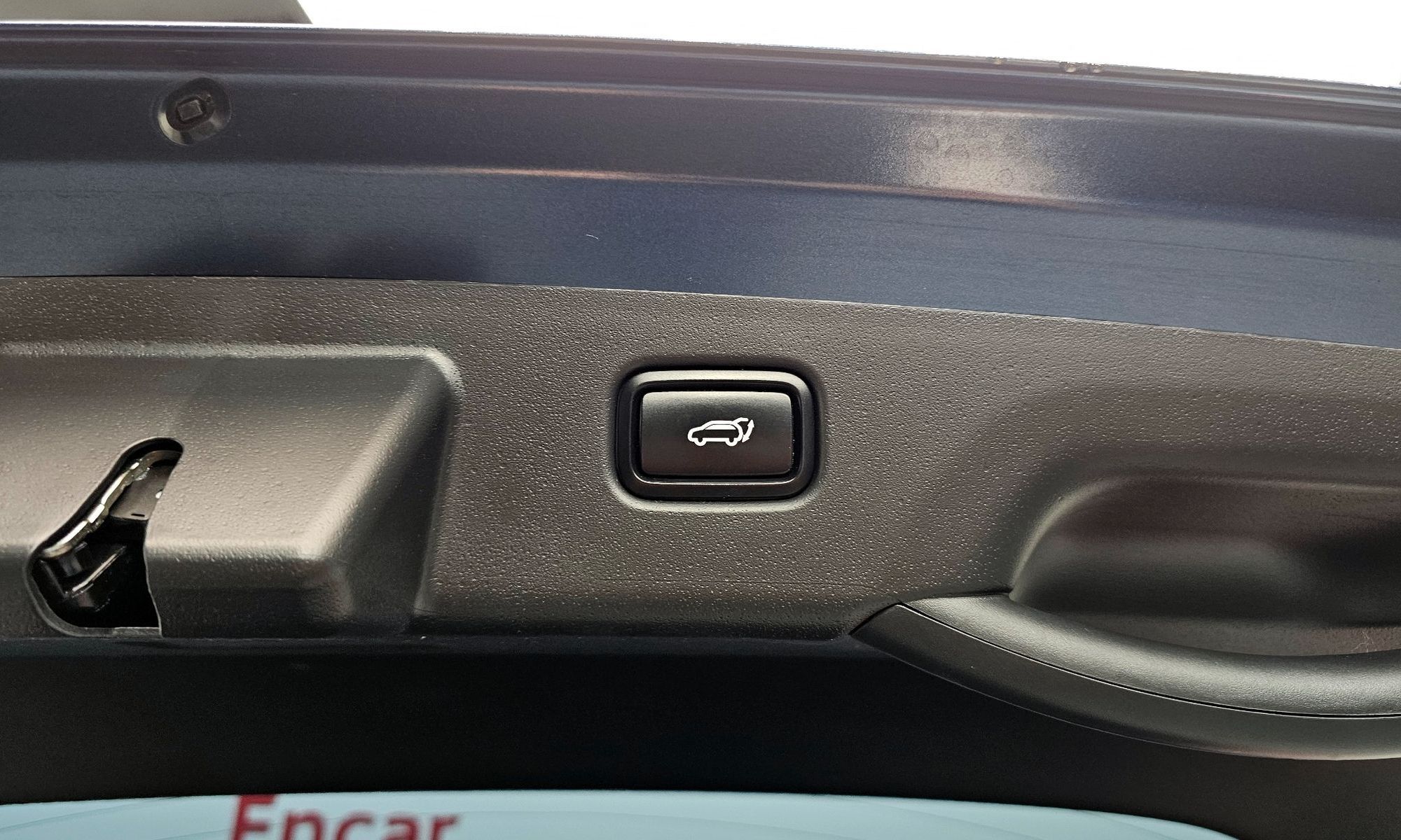 Image 19