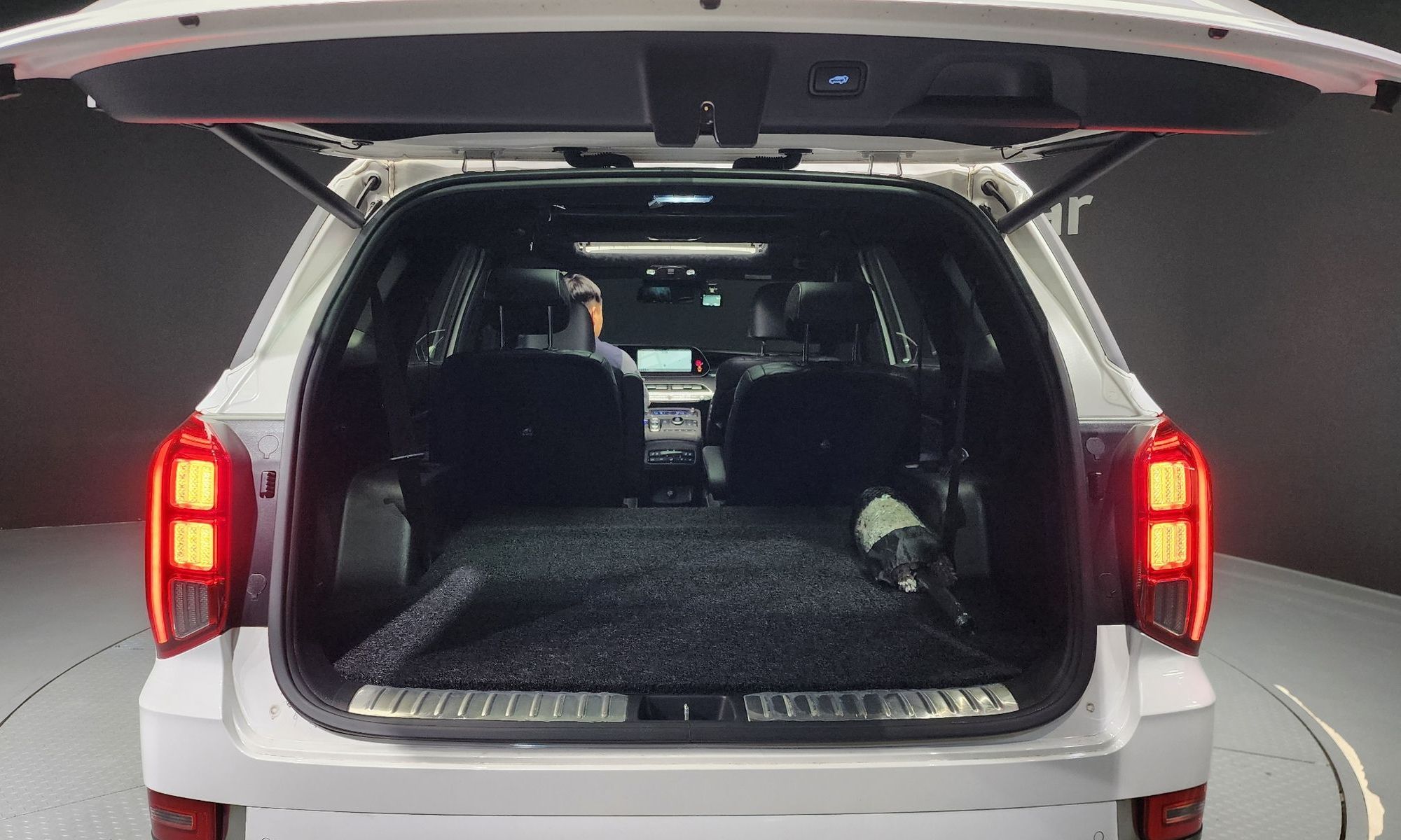 Image 19