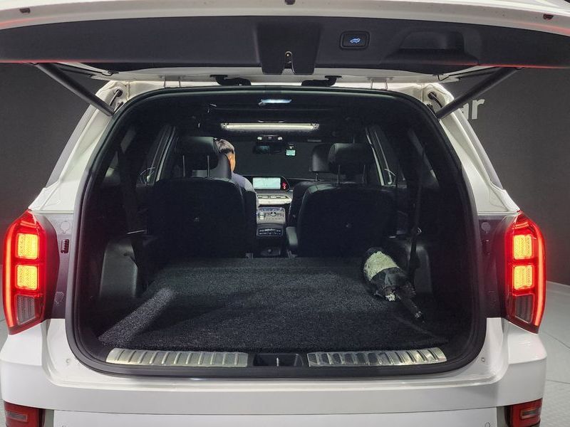 Image 19