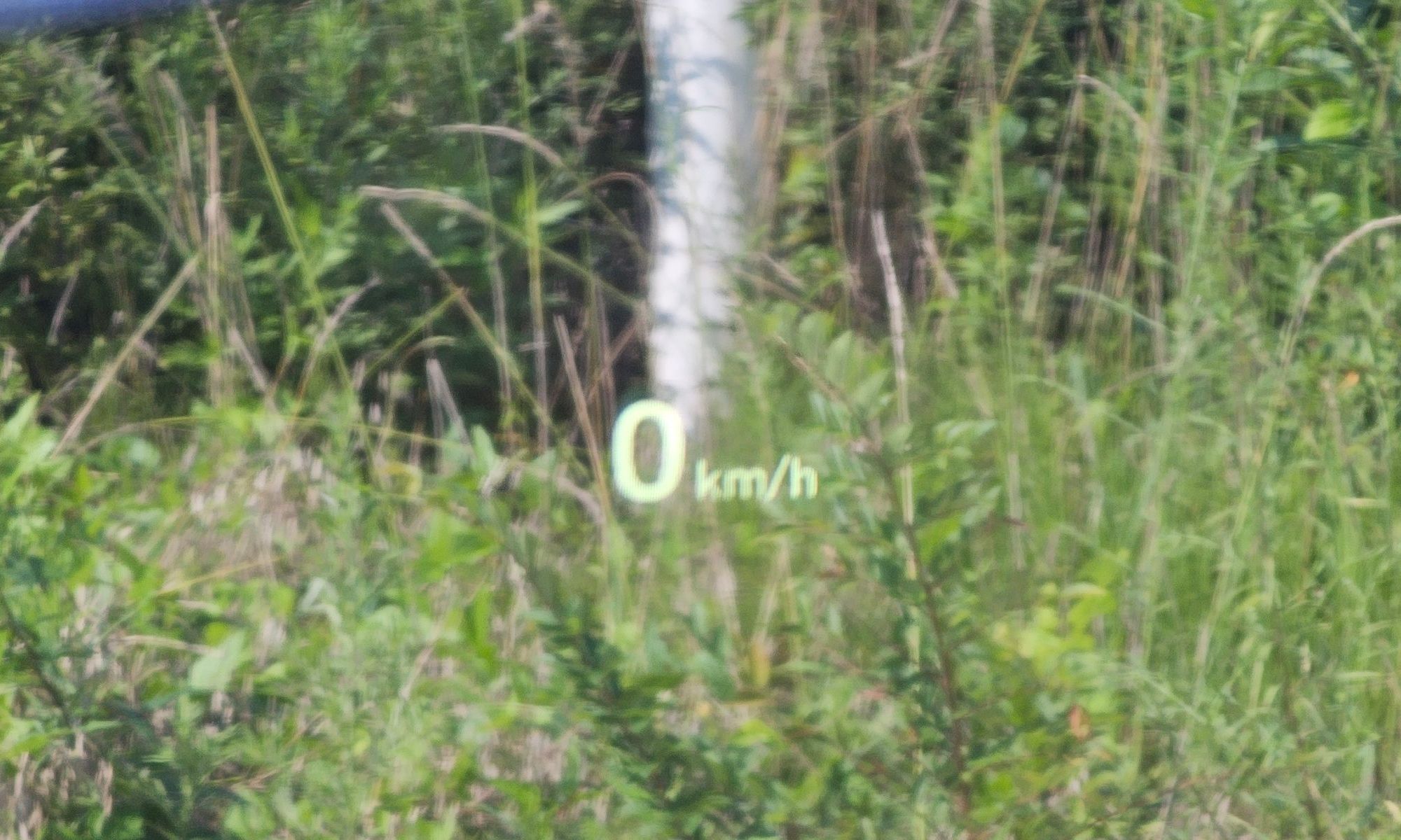 Image 13