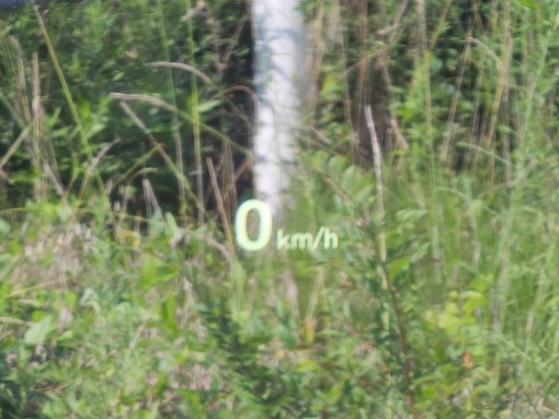 Image 13