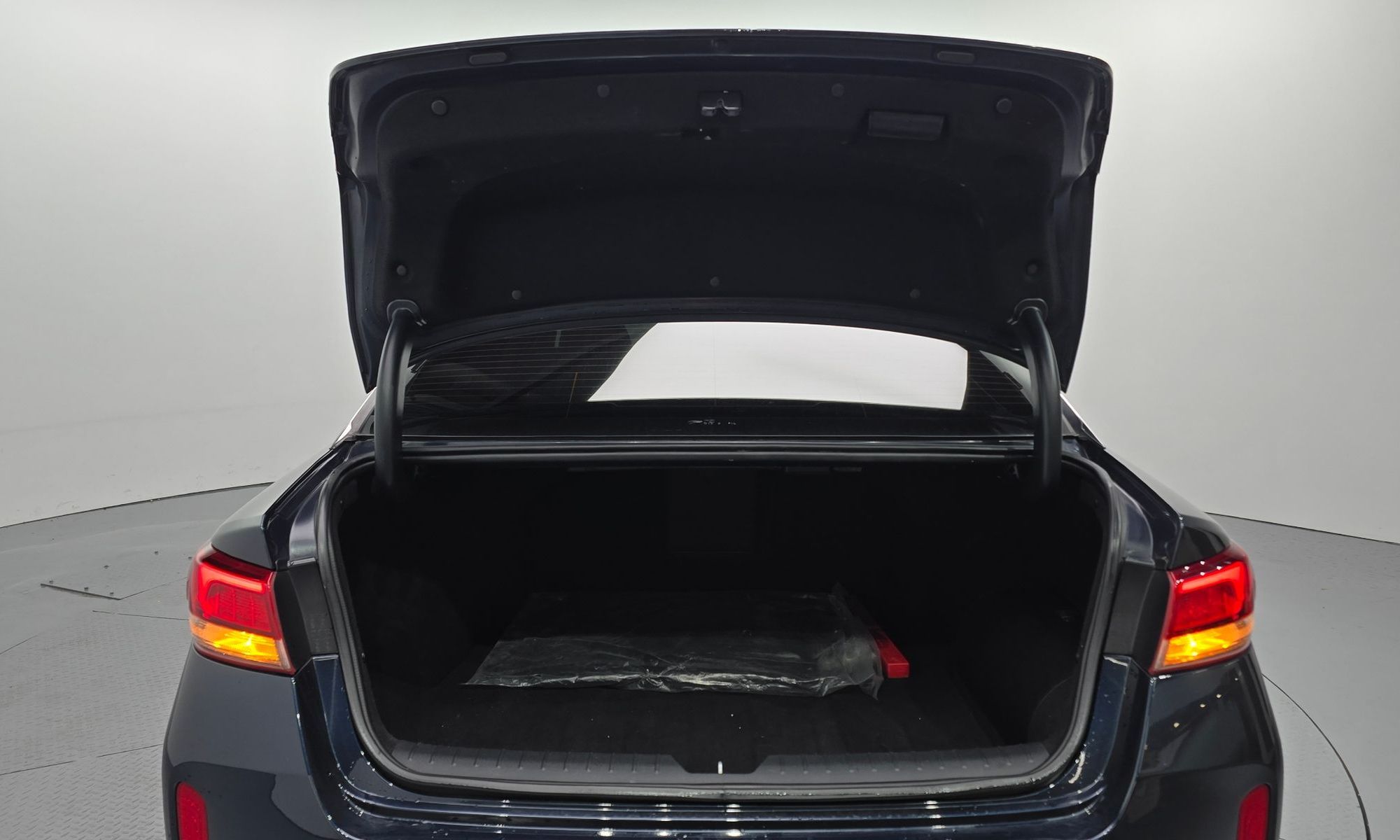 Image 19