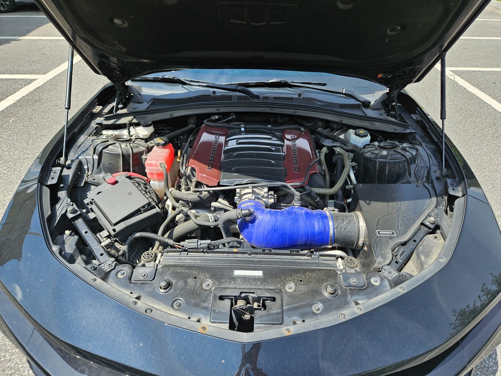 Image 5