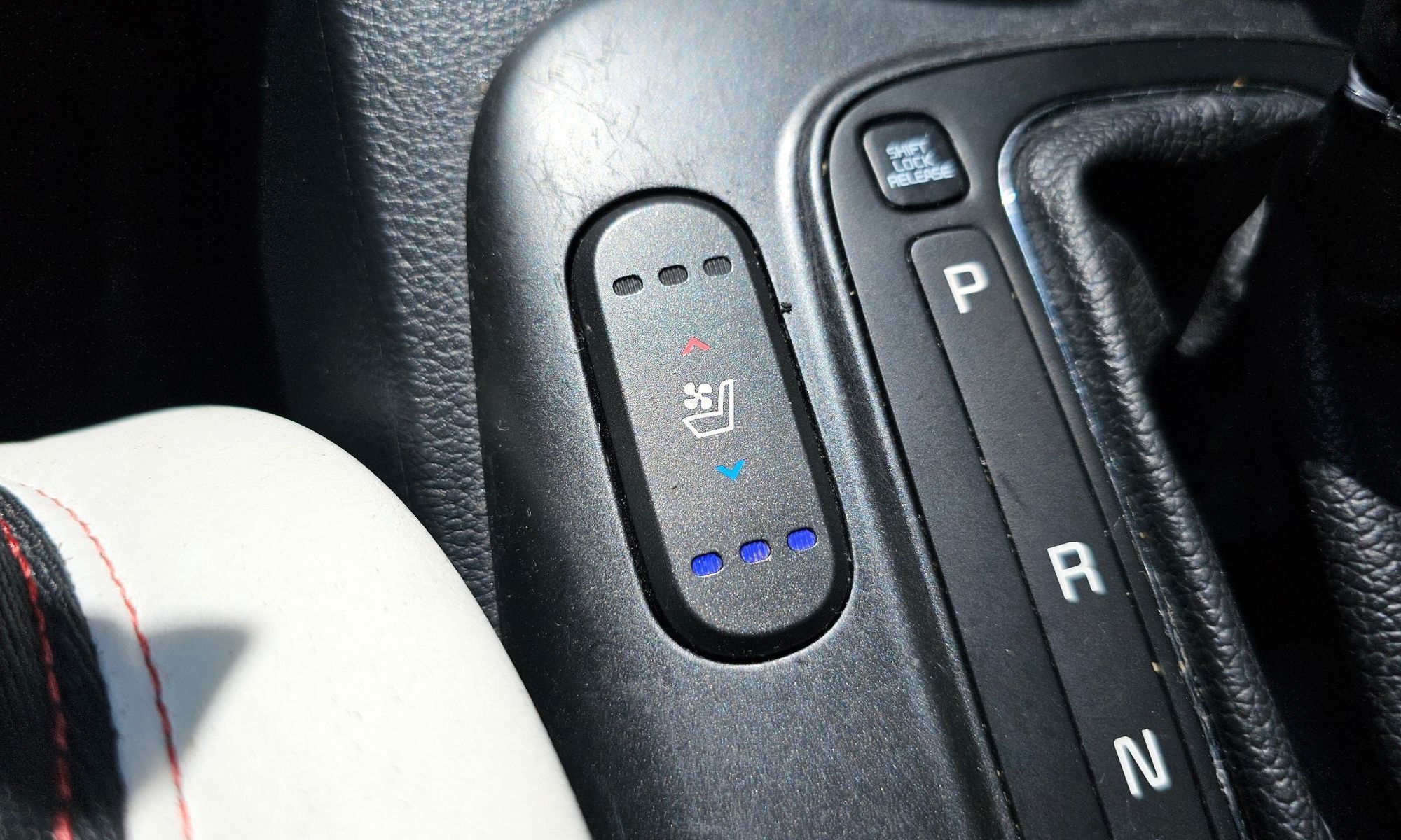 Image 19