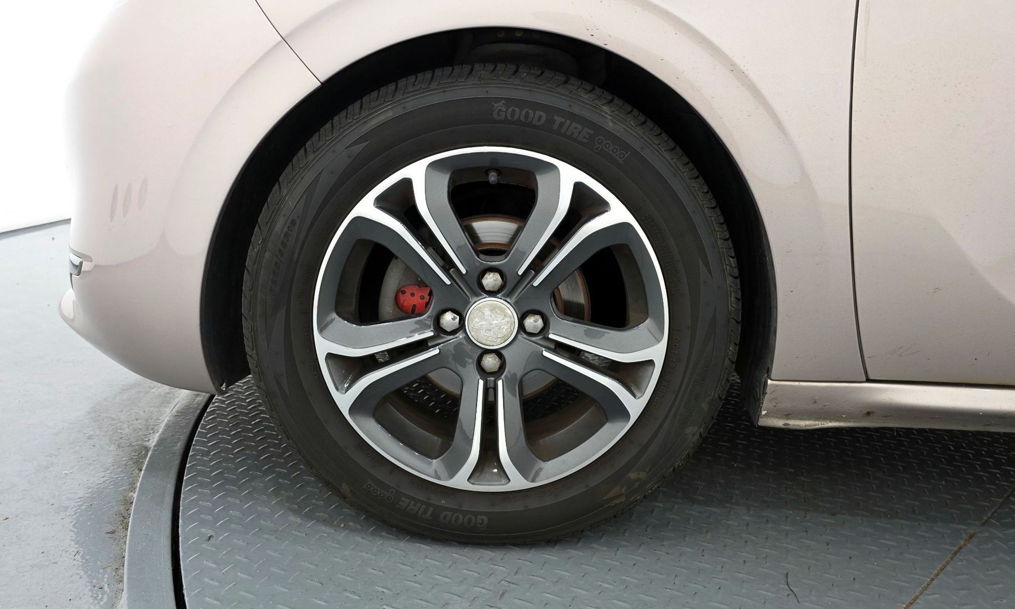 Image 4
