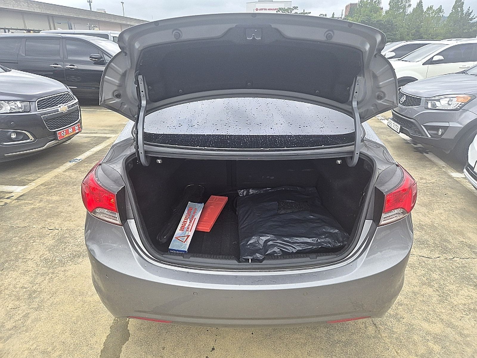 Image 11