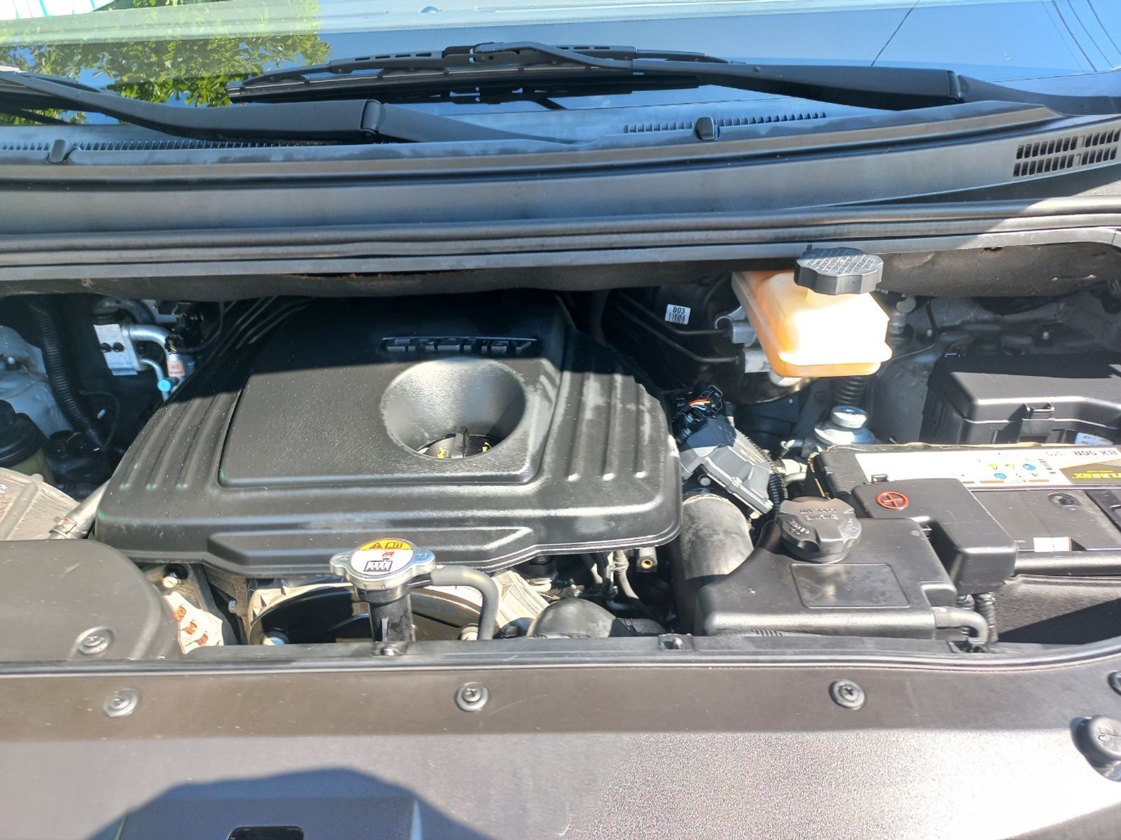 Image 19