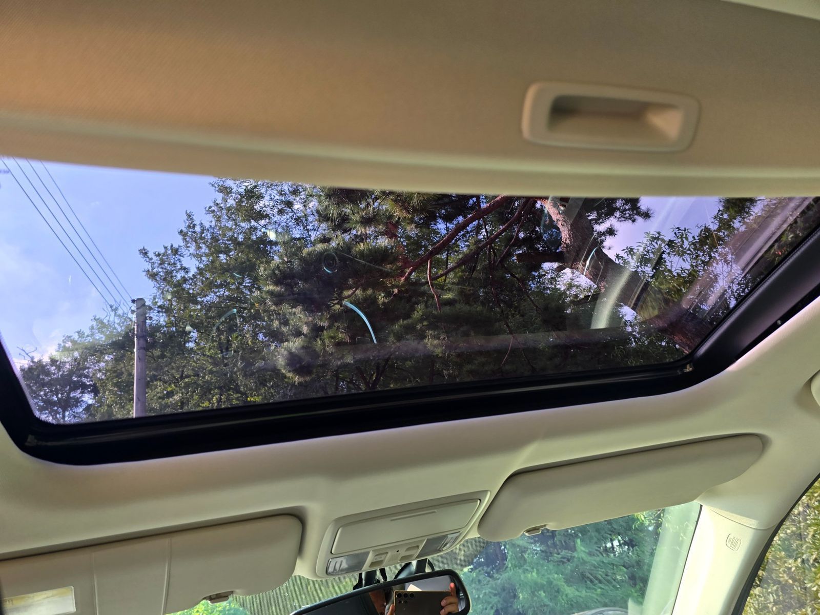 Image 19