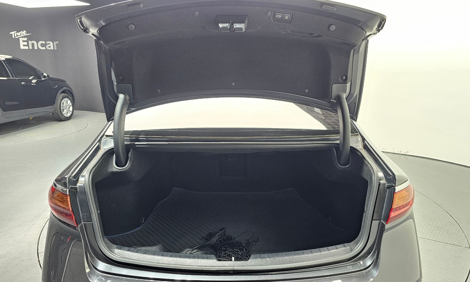 Image 19