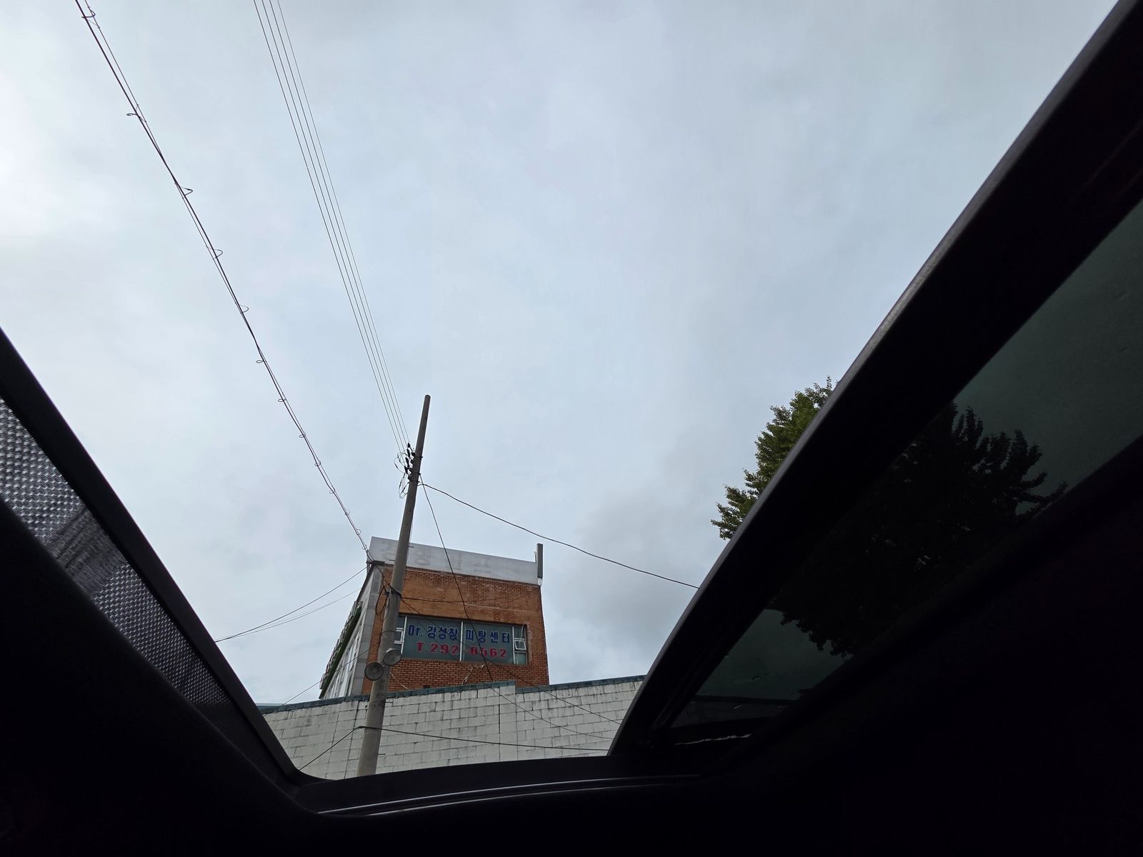 Image 13