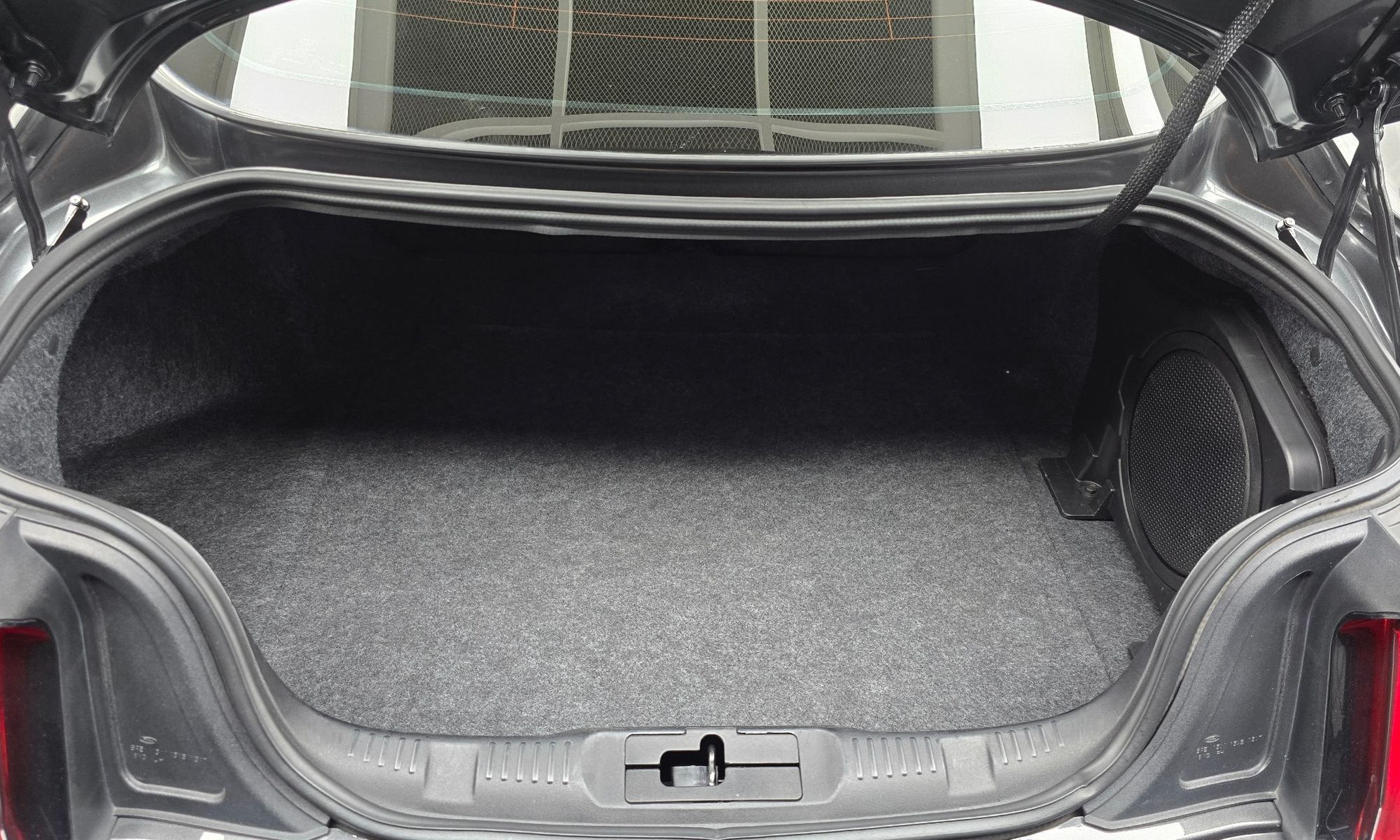 Image 19