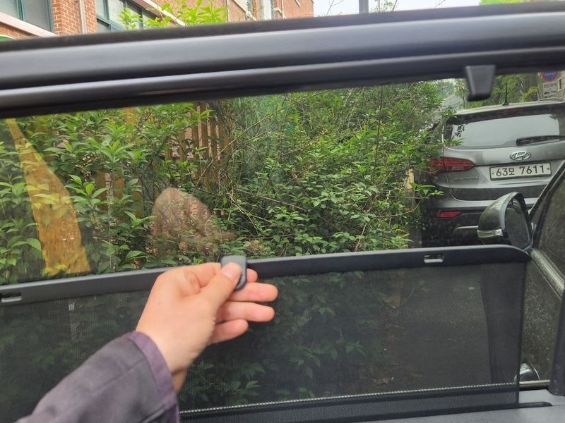 Image 14