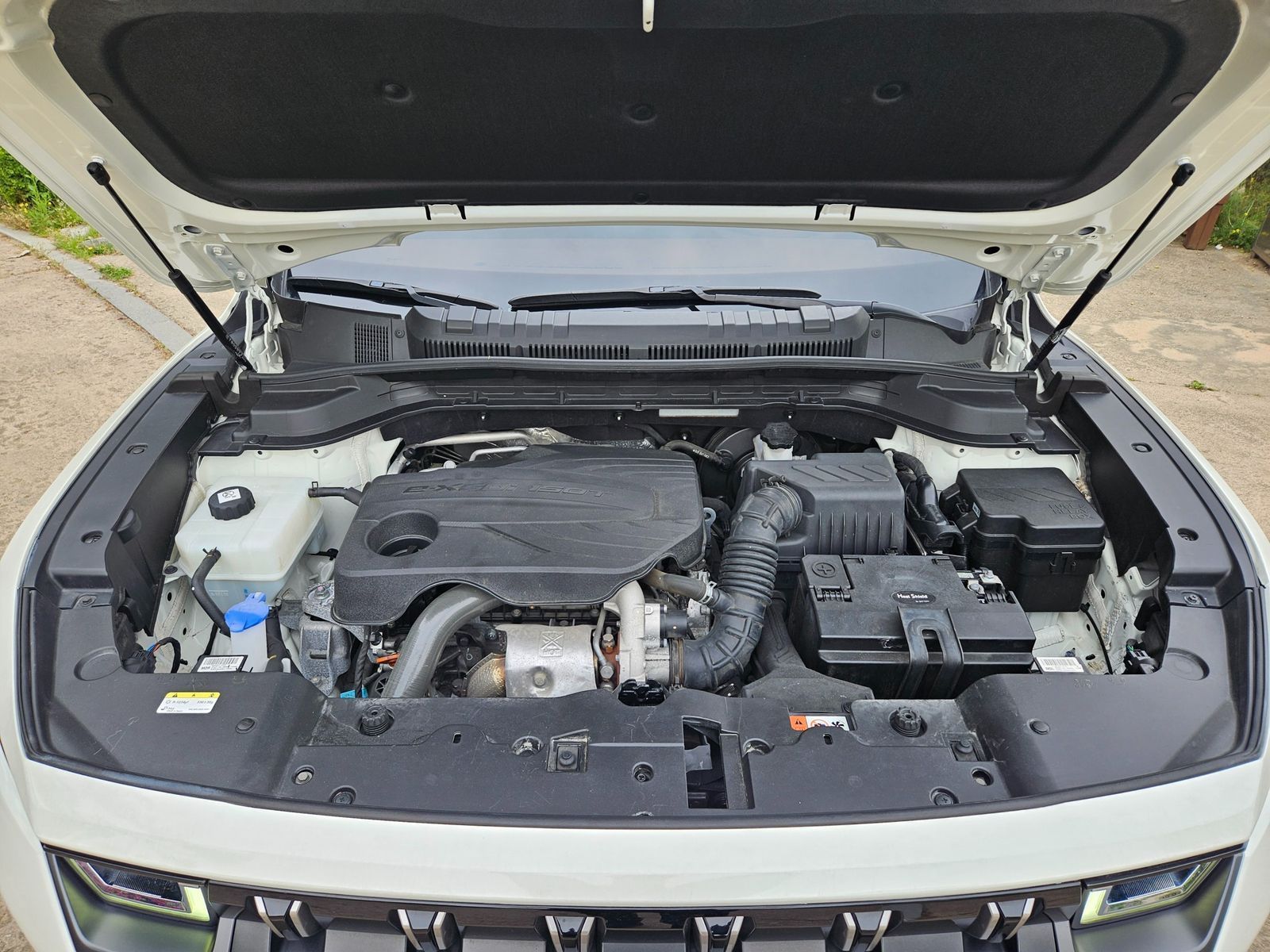 Image 19
