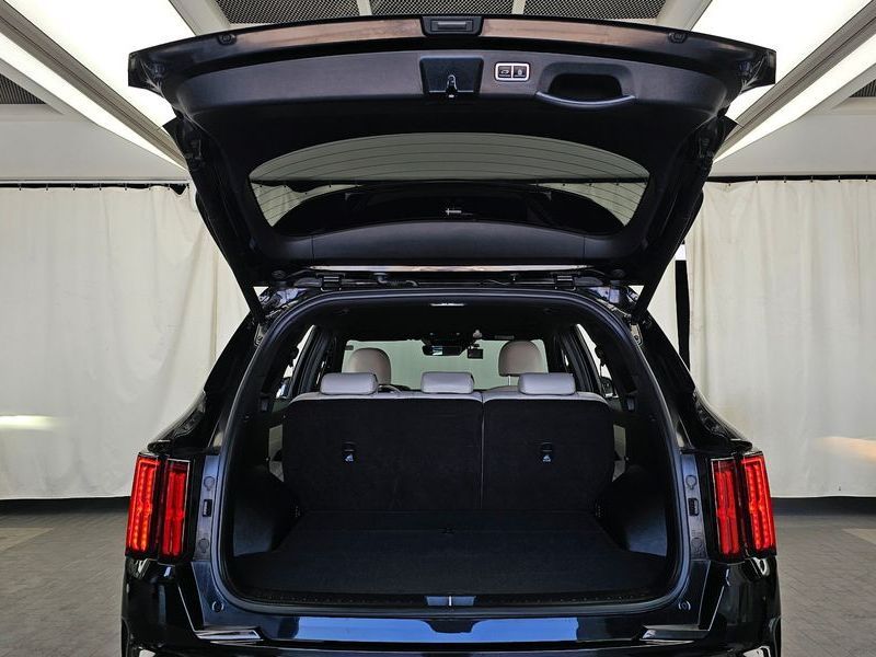 Image 19