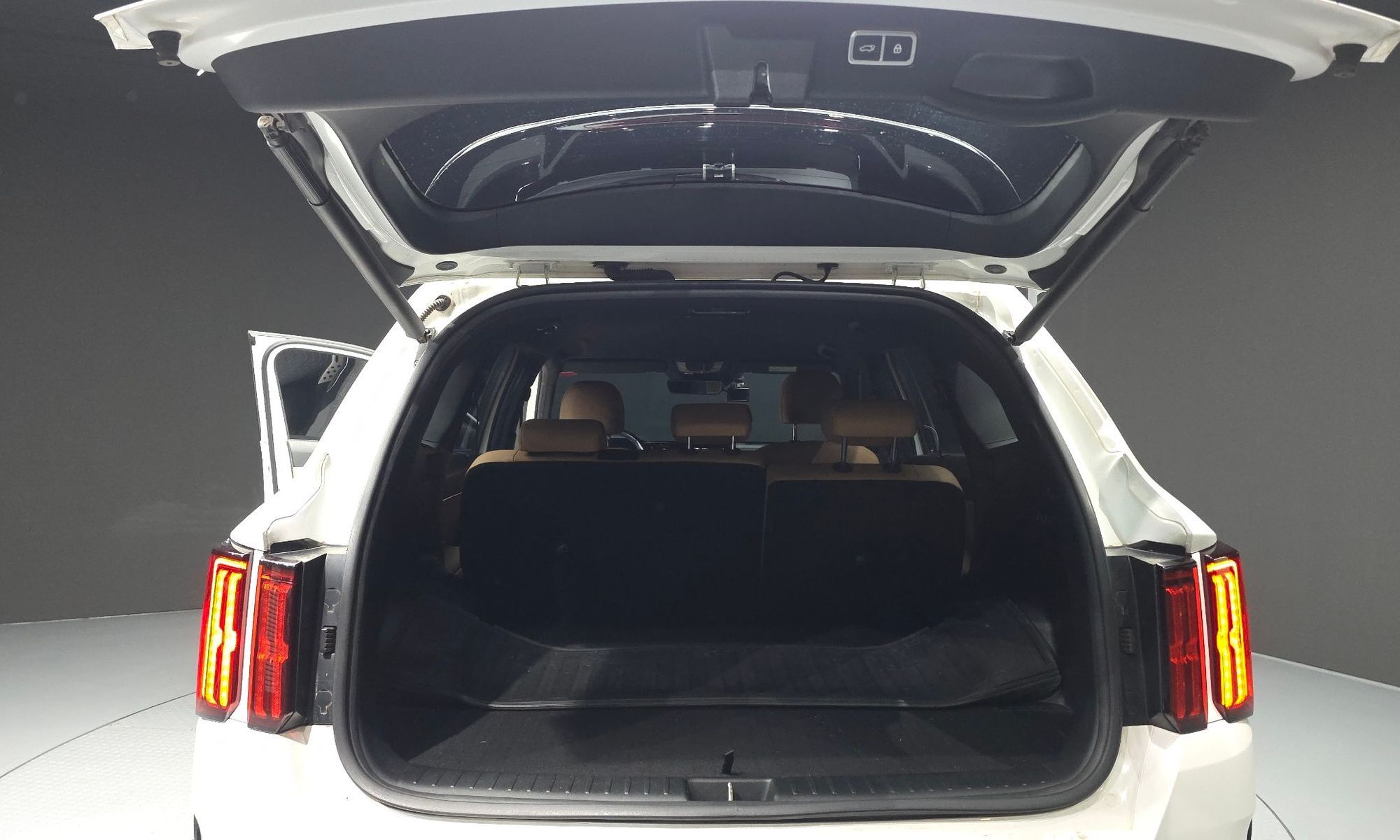 Image 19