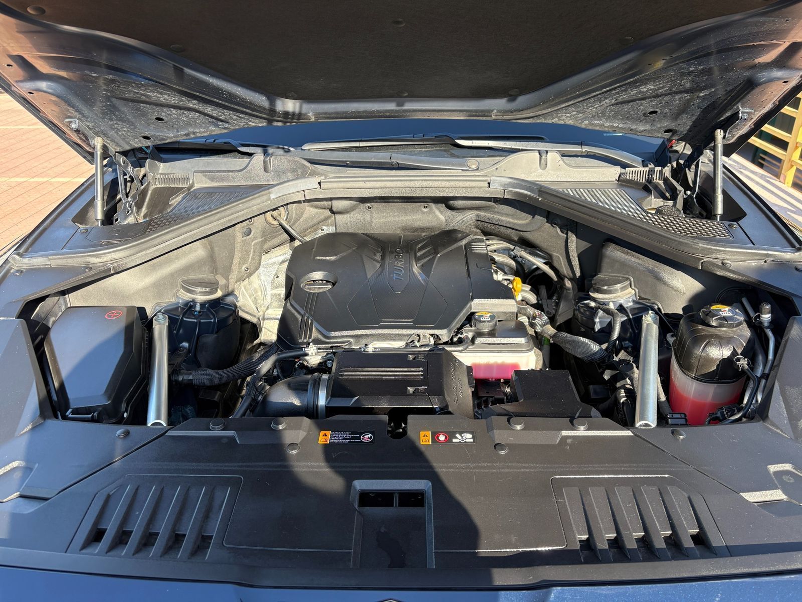 Image 5