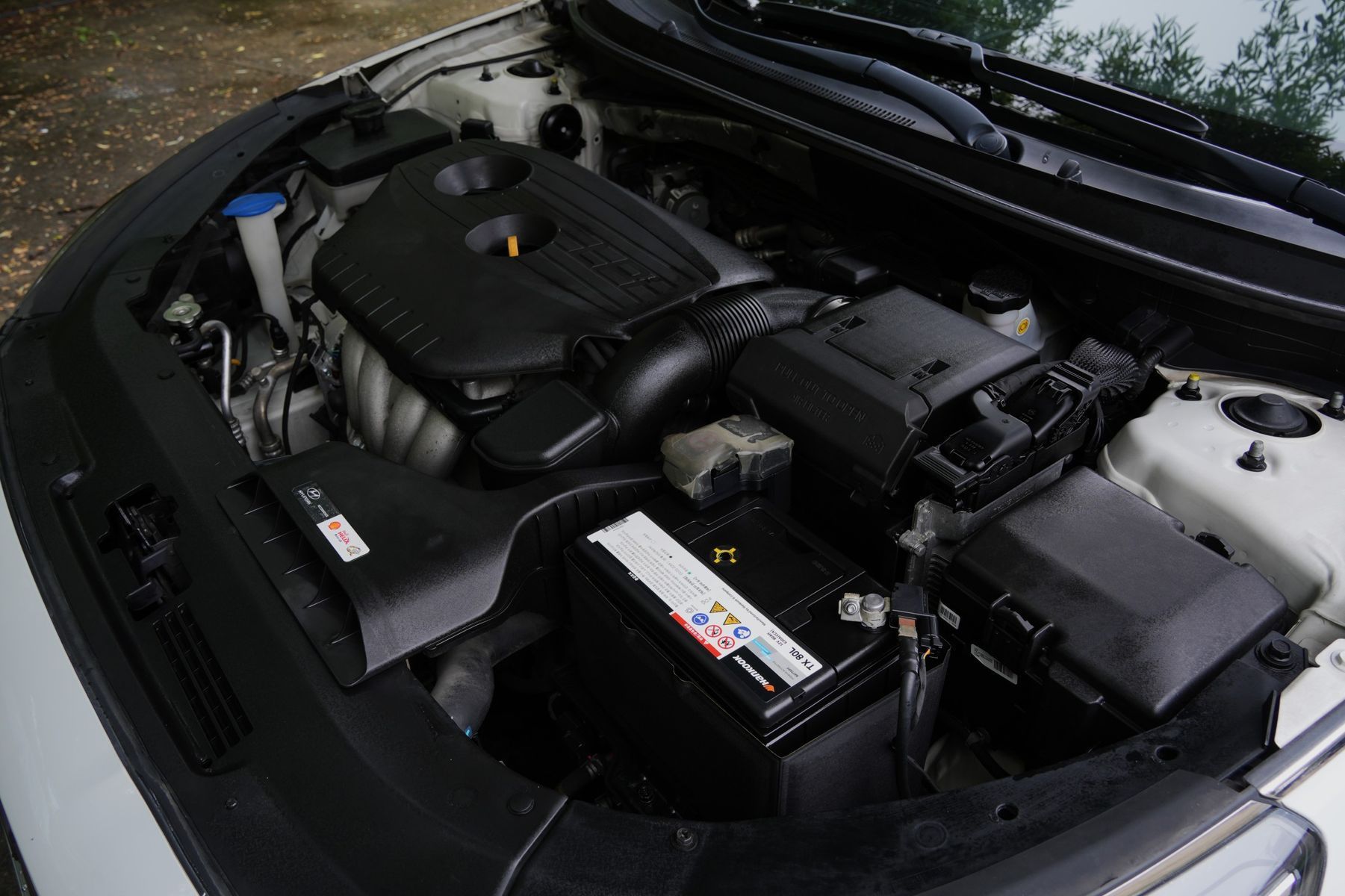 Image 5