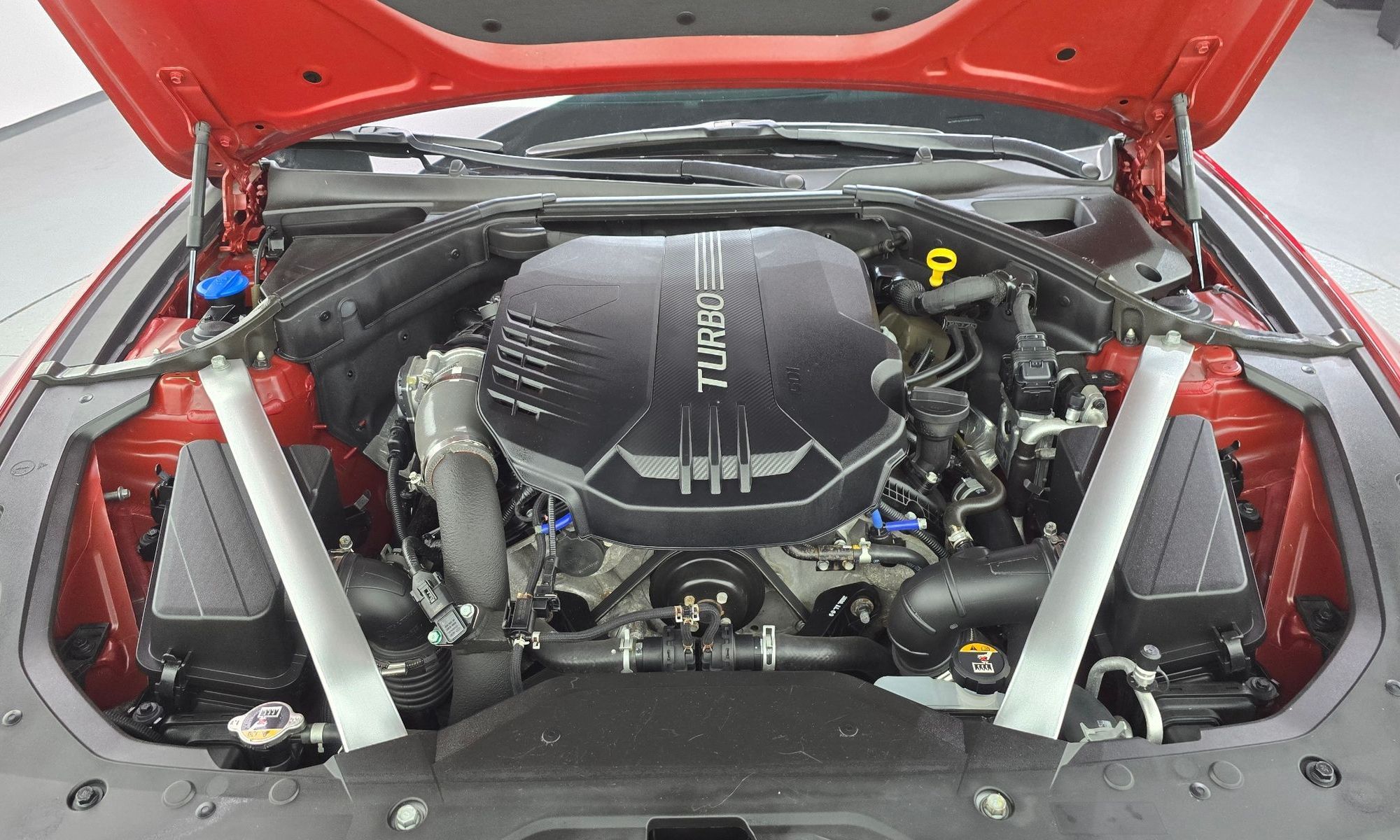 Image 5