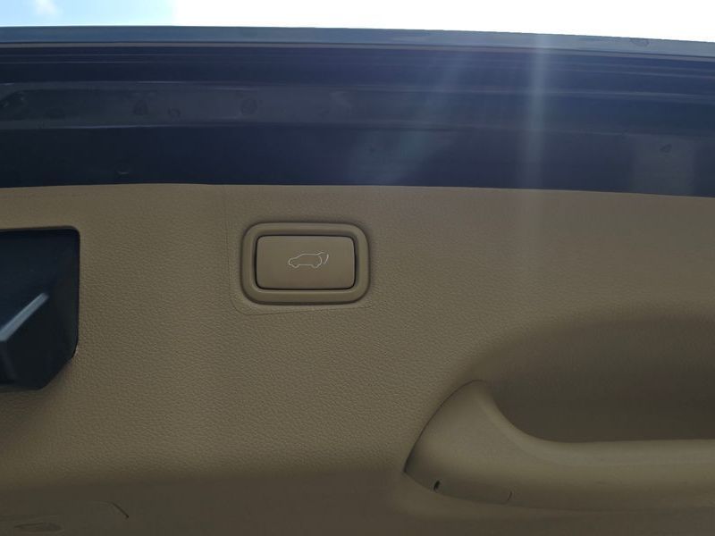 Image 19