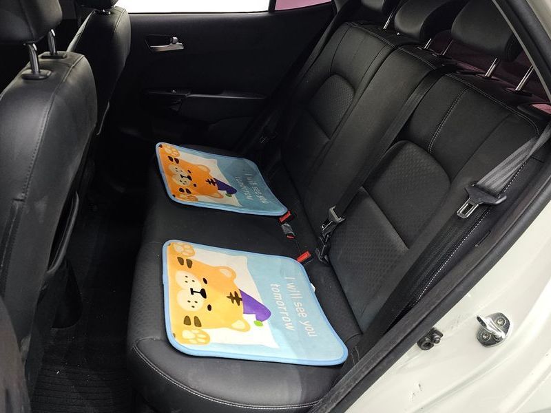 Image 10
