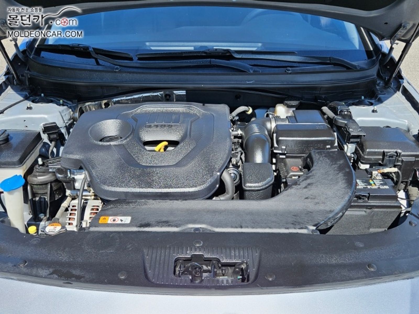 Image 5