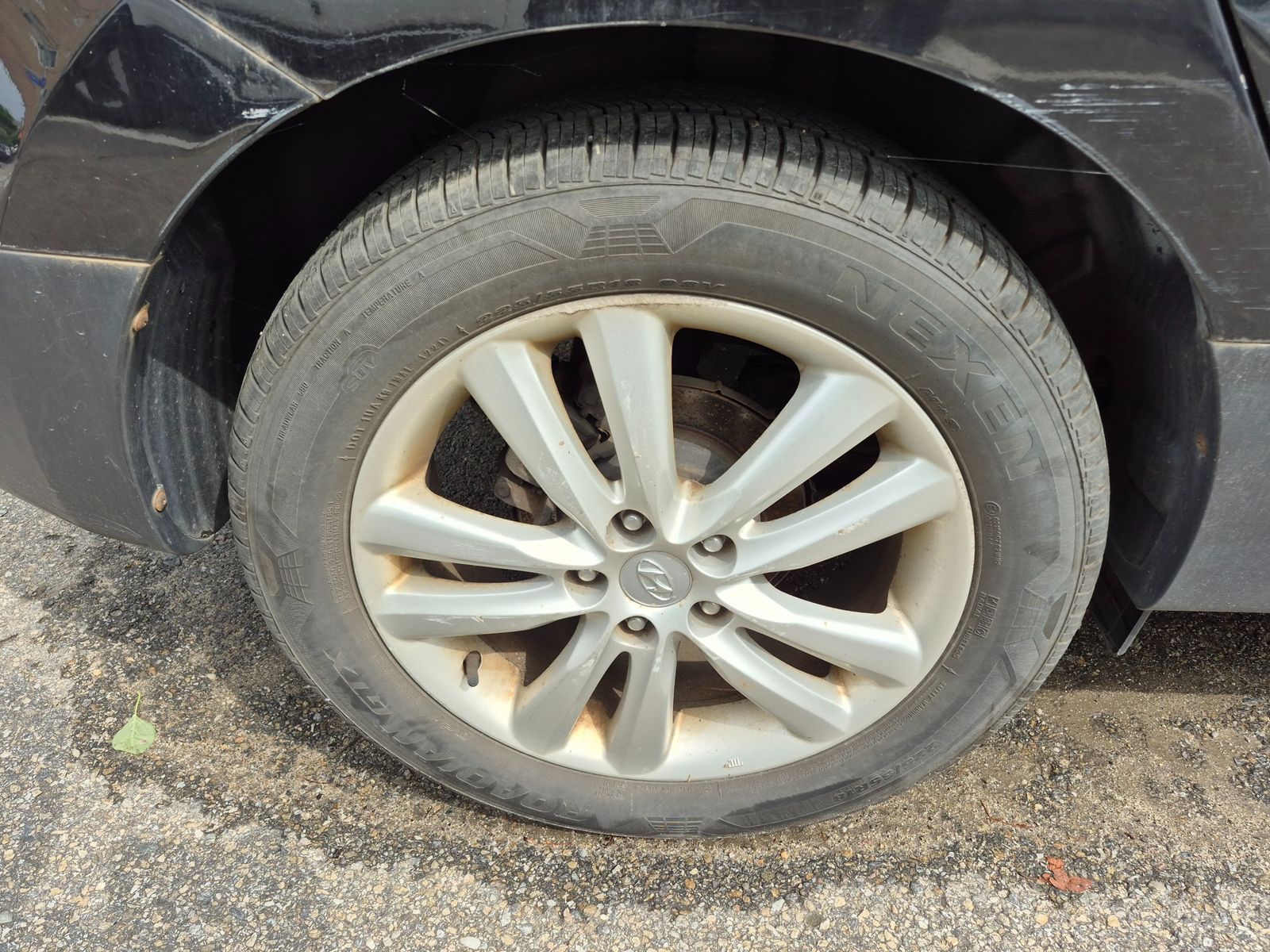 Image 7