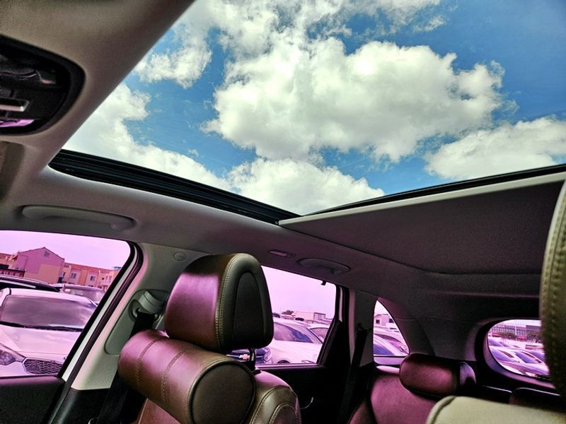 Image 19