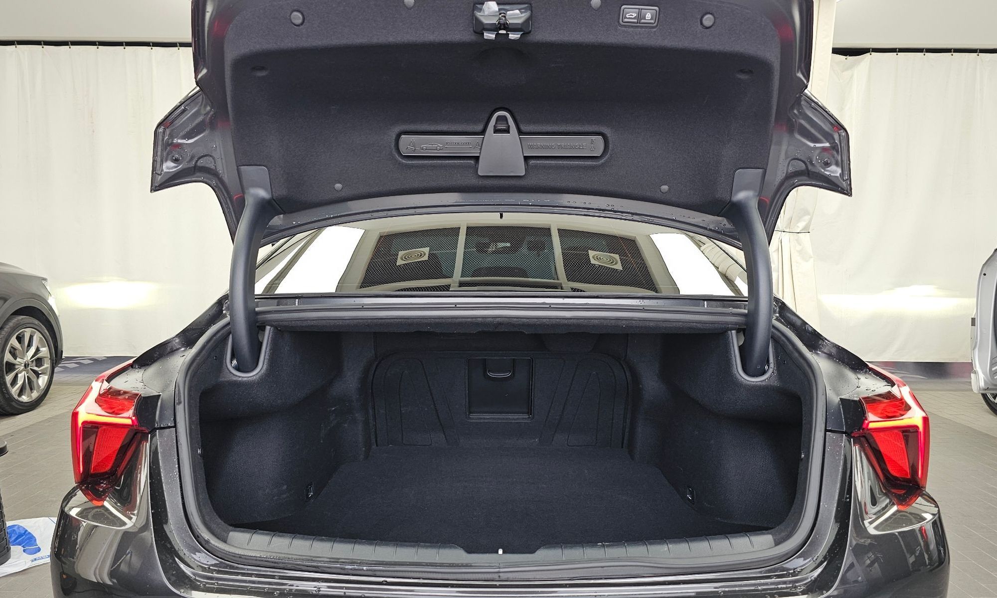 Image 19