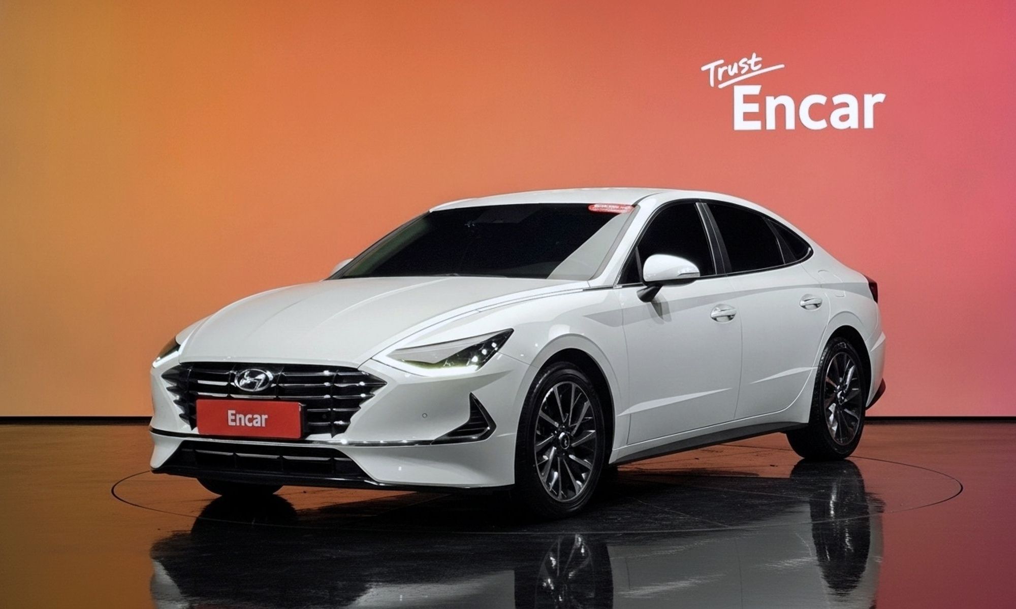 Image 19