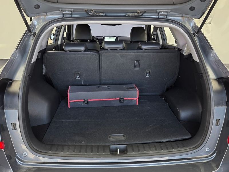 Image 19