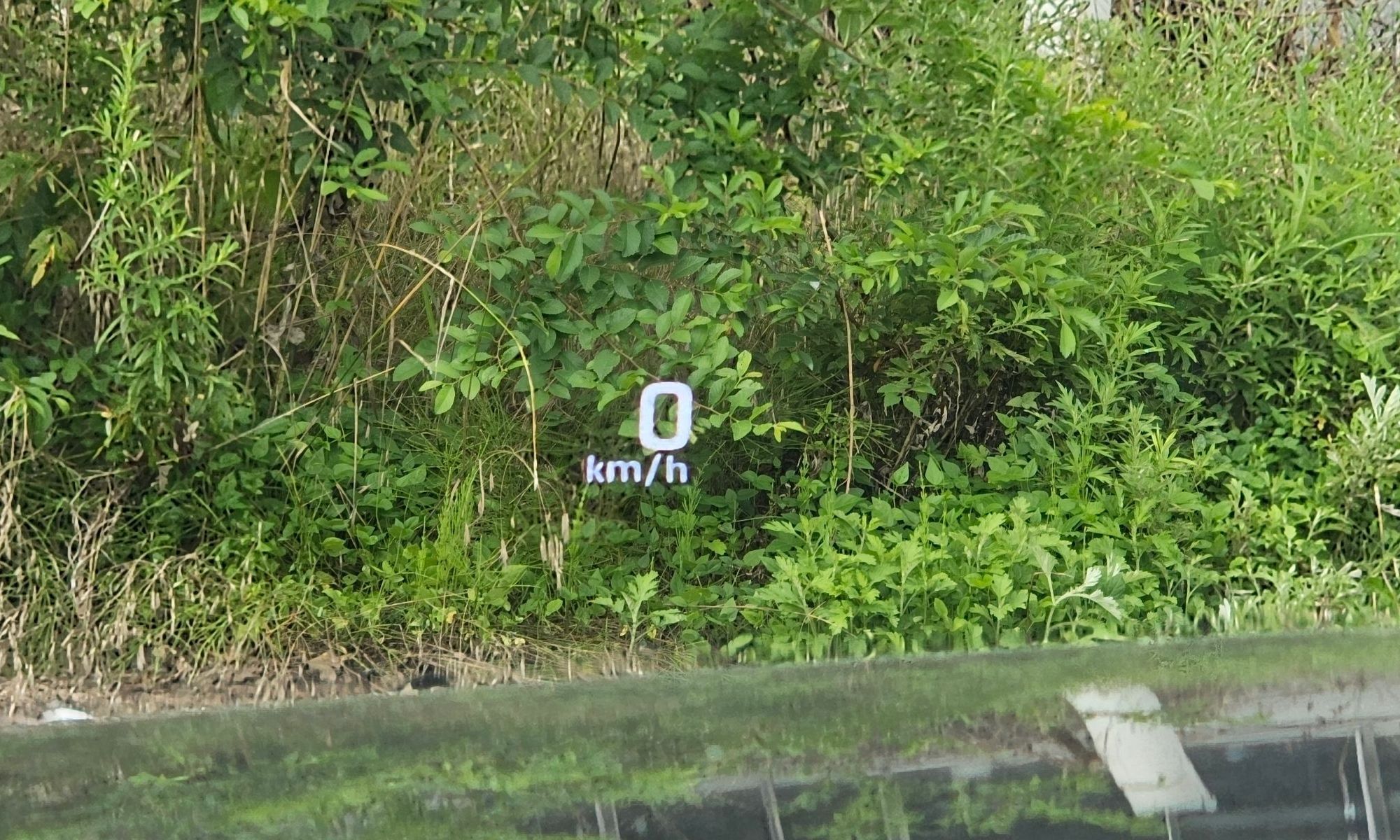 Image 19