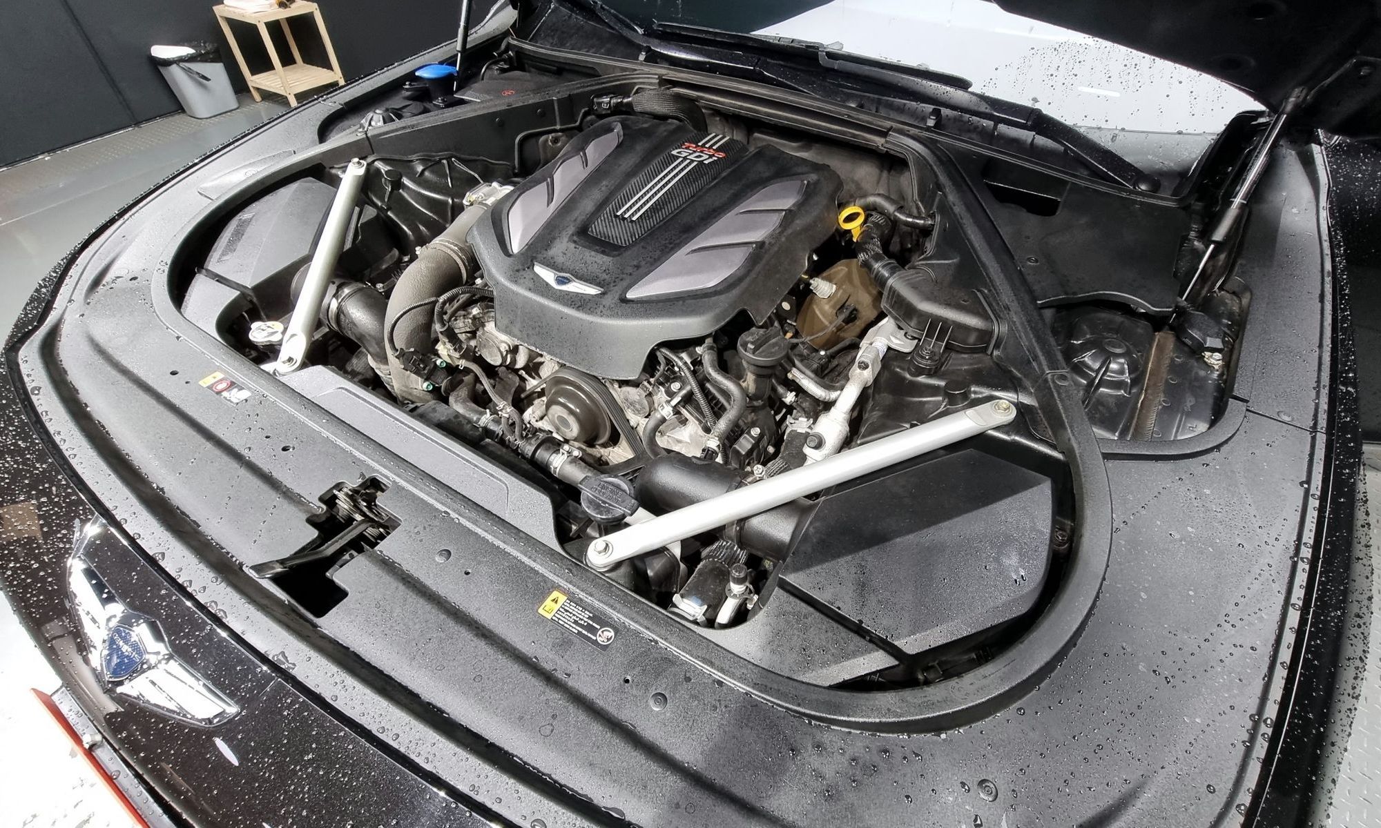 Image 5
