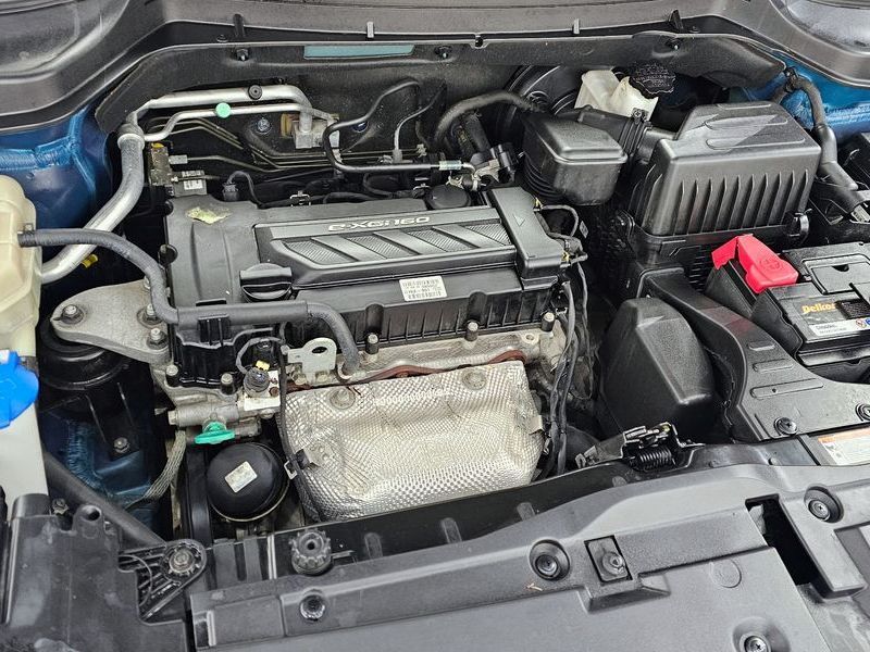 Image 5
