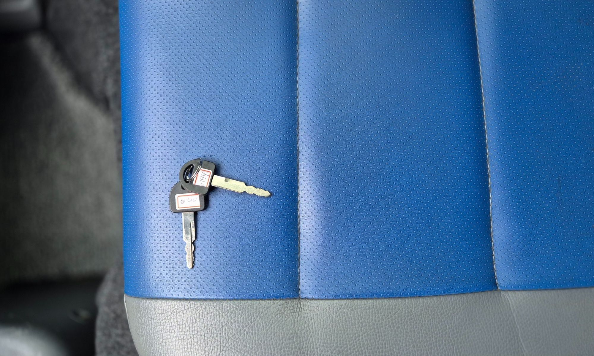 Image 11