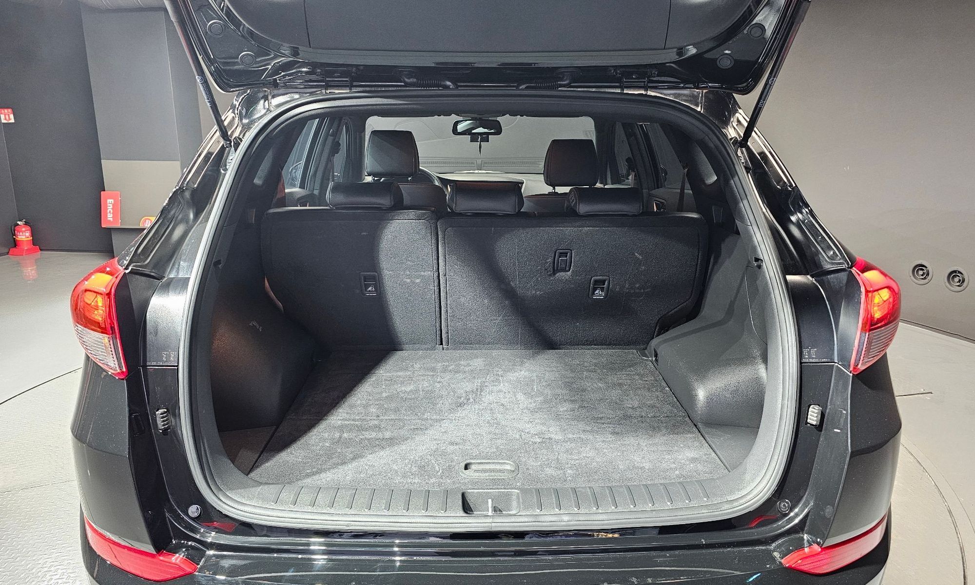 Image 19