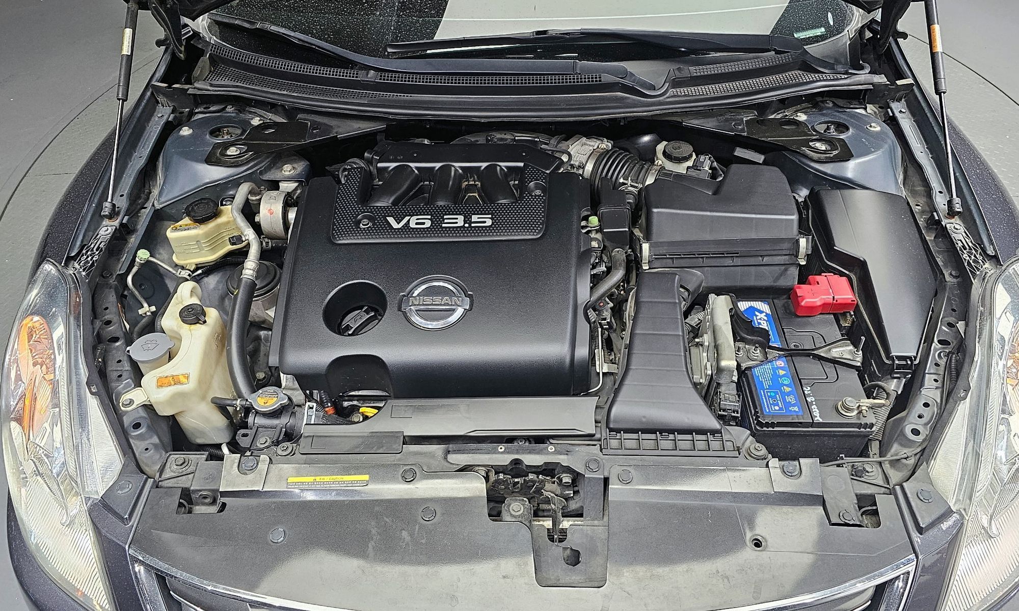 Image 5