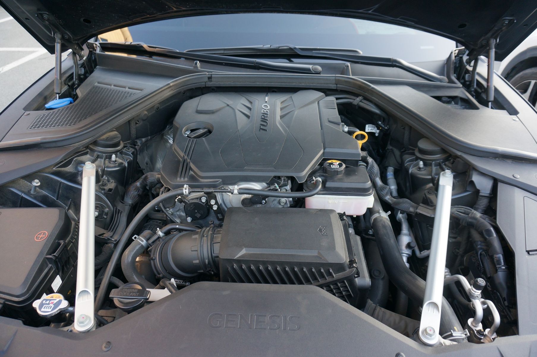 Image 19
