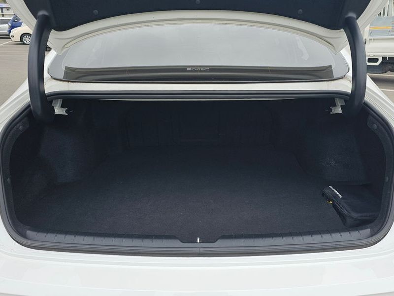 Image 19