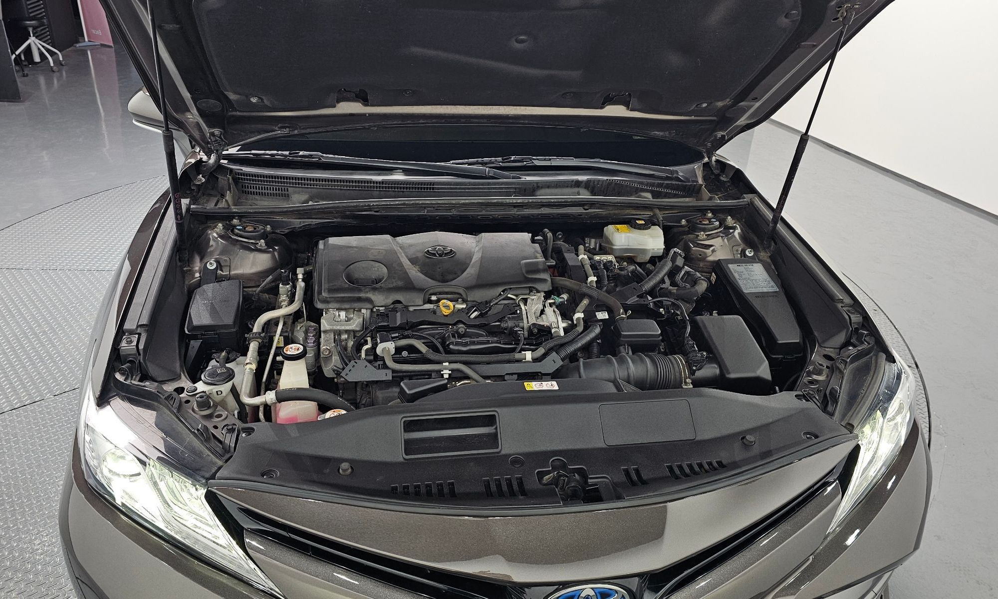 Image 5