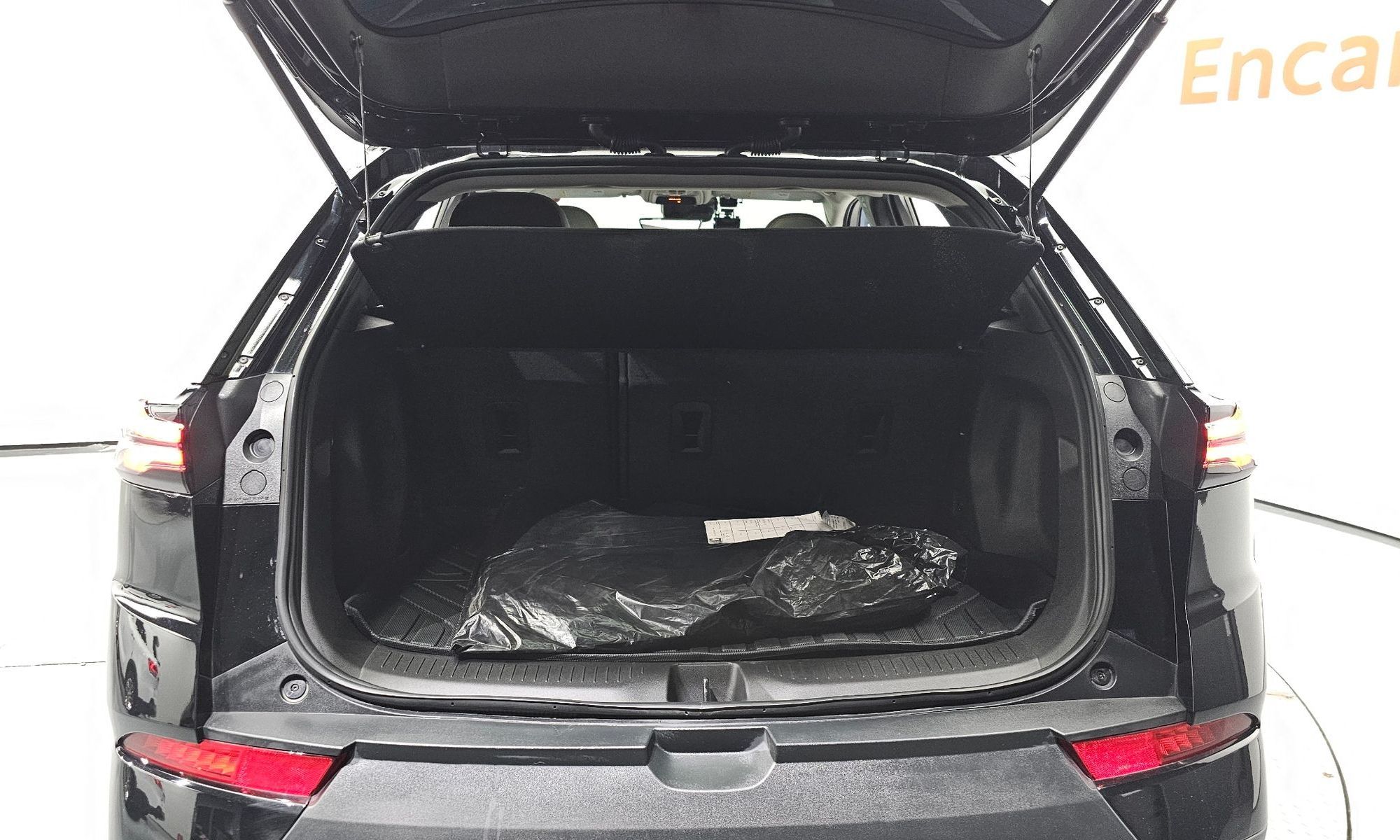 Image 19