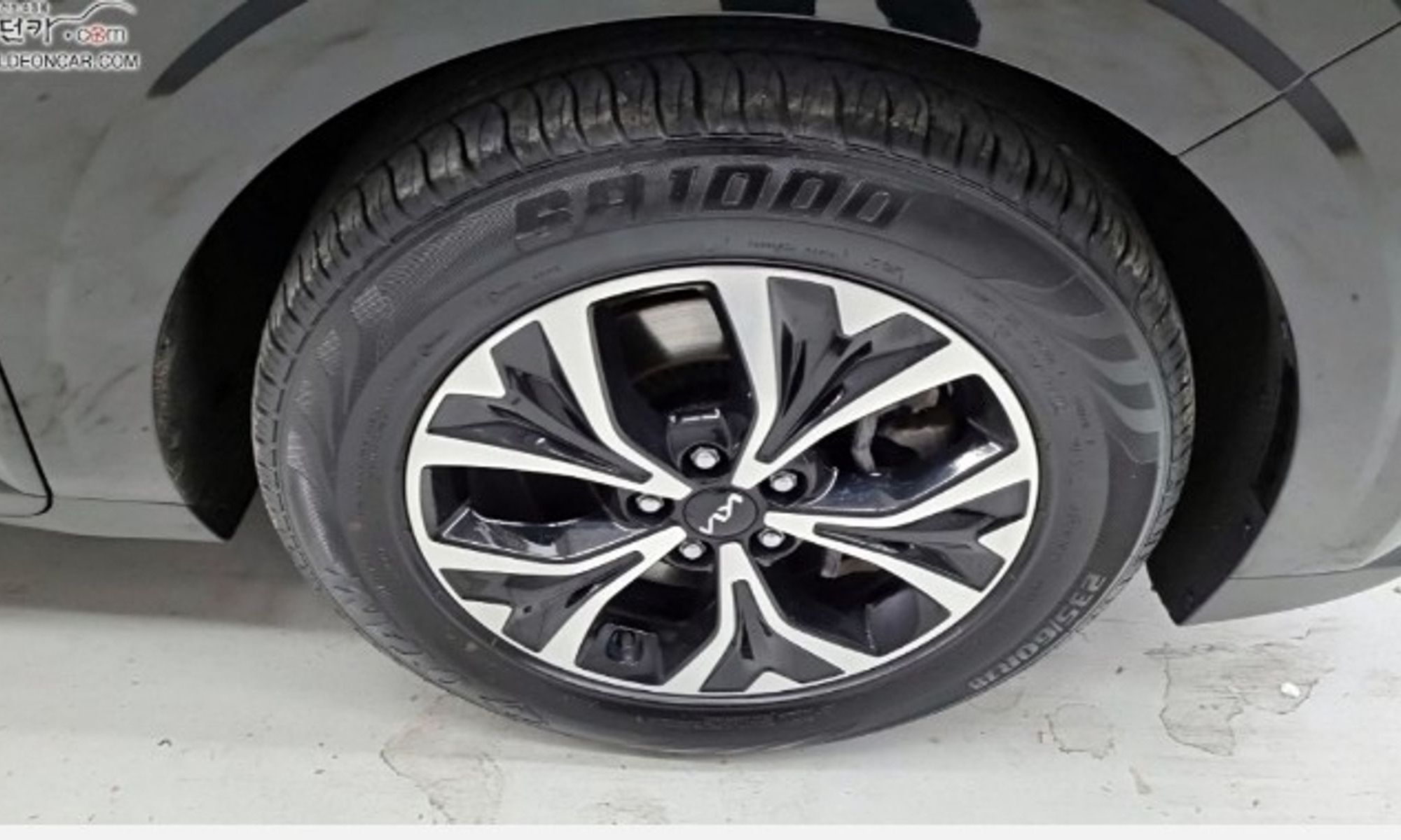 Image 7