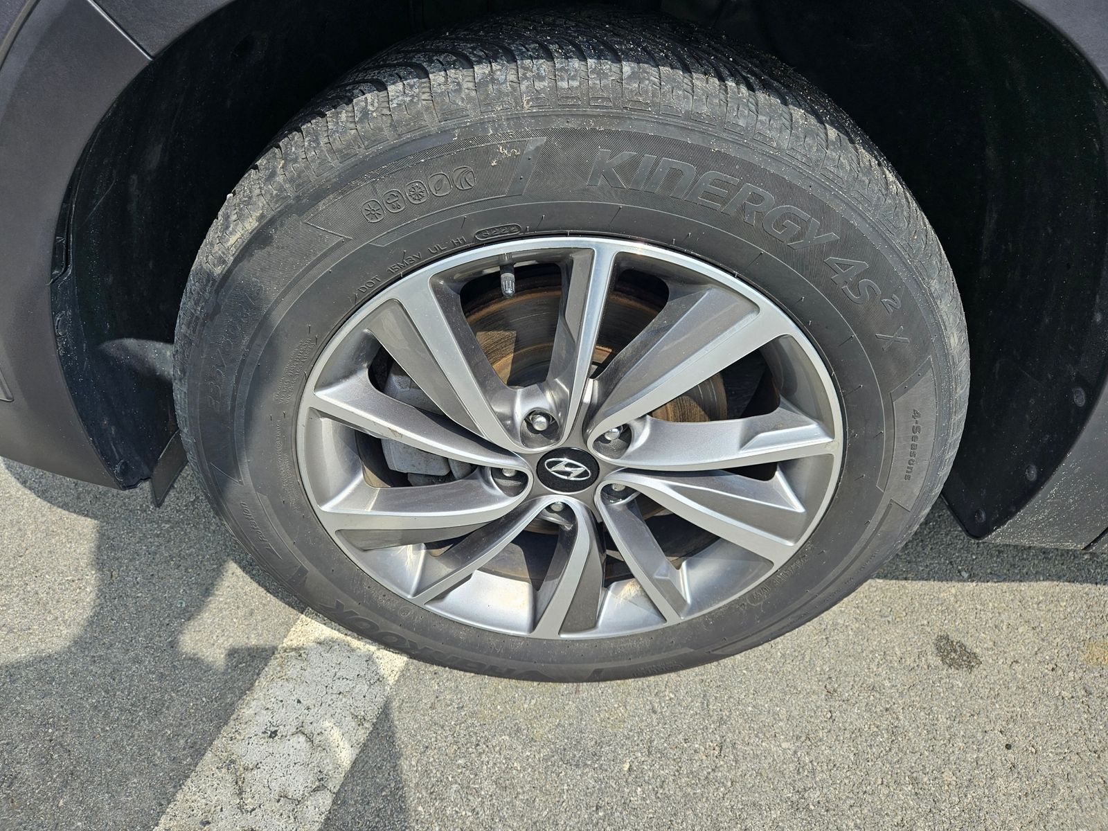 Image 4