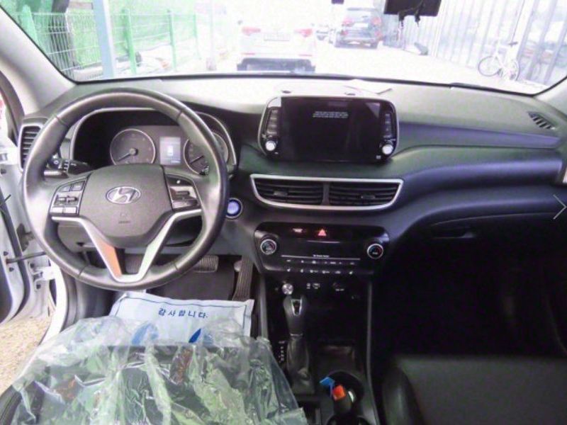 Image 7