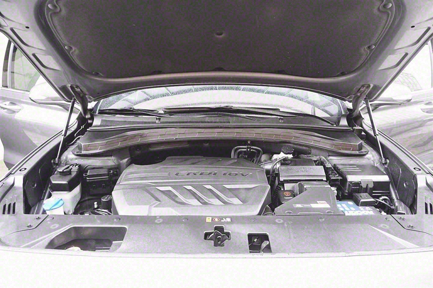 Image 19