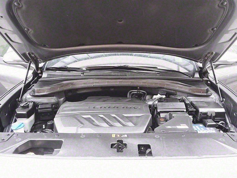 Image 19