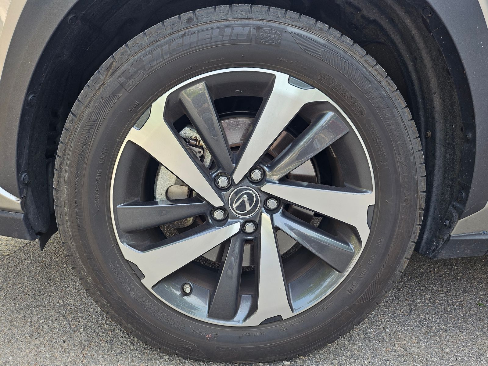 Image 8