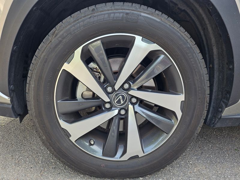 Image 8