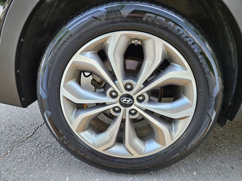Image 19