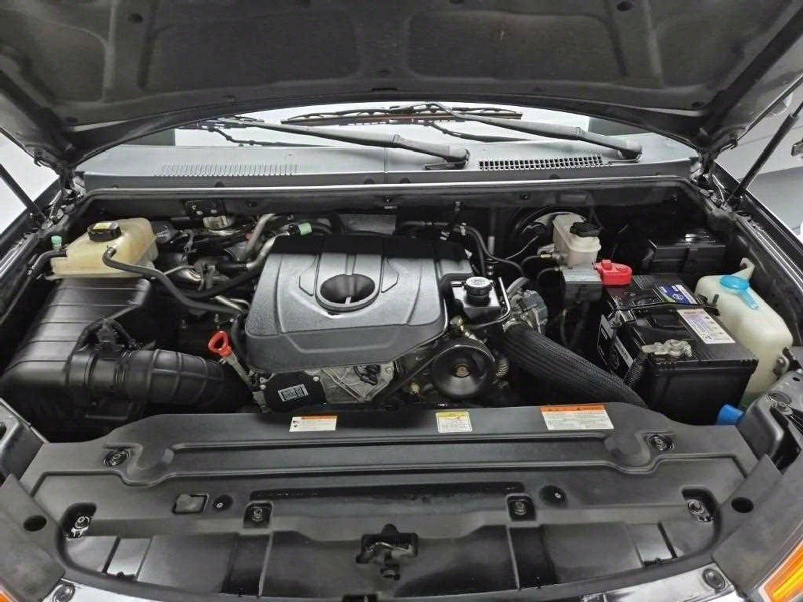 Image 7